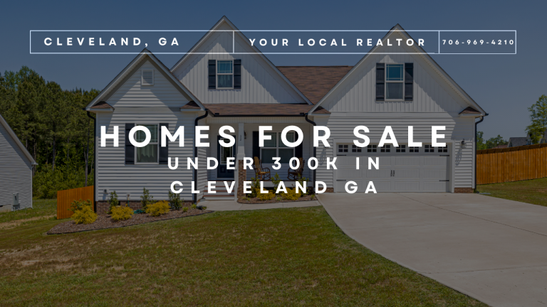 Homes for Sale Under 300k in Cleveland GA