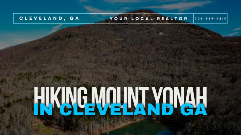 hiking mount yonah in cleveland ga