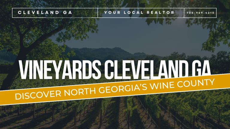 Vineyards Cleveland Ga